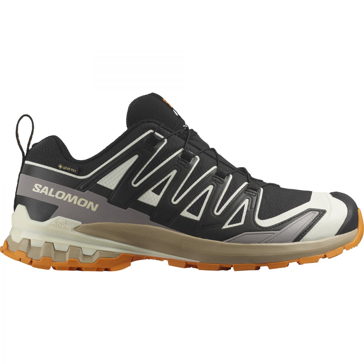 Salomon XA Pro 3D V9 GTX, Trailrunning-Schuh, Herren, schwarz — 2