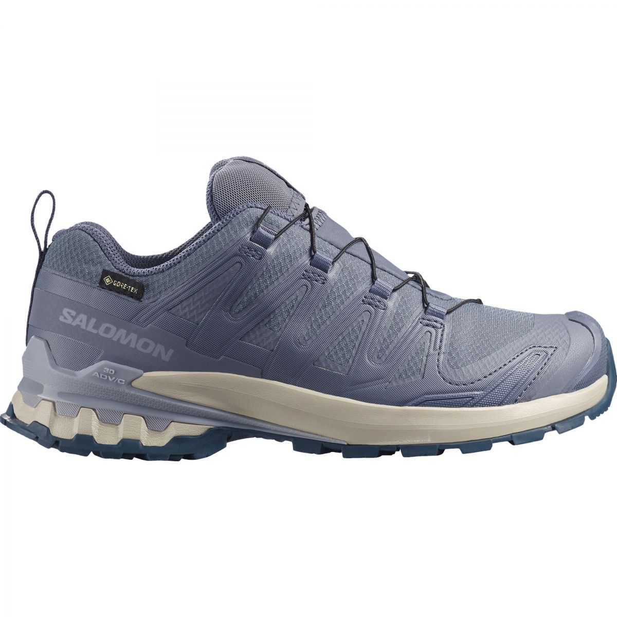 Salomon XA PRO 3D V9 GTX, Trailschuhe, Damen, grau/blau — 2