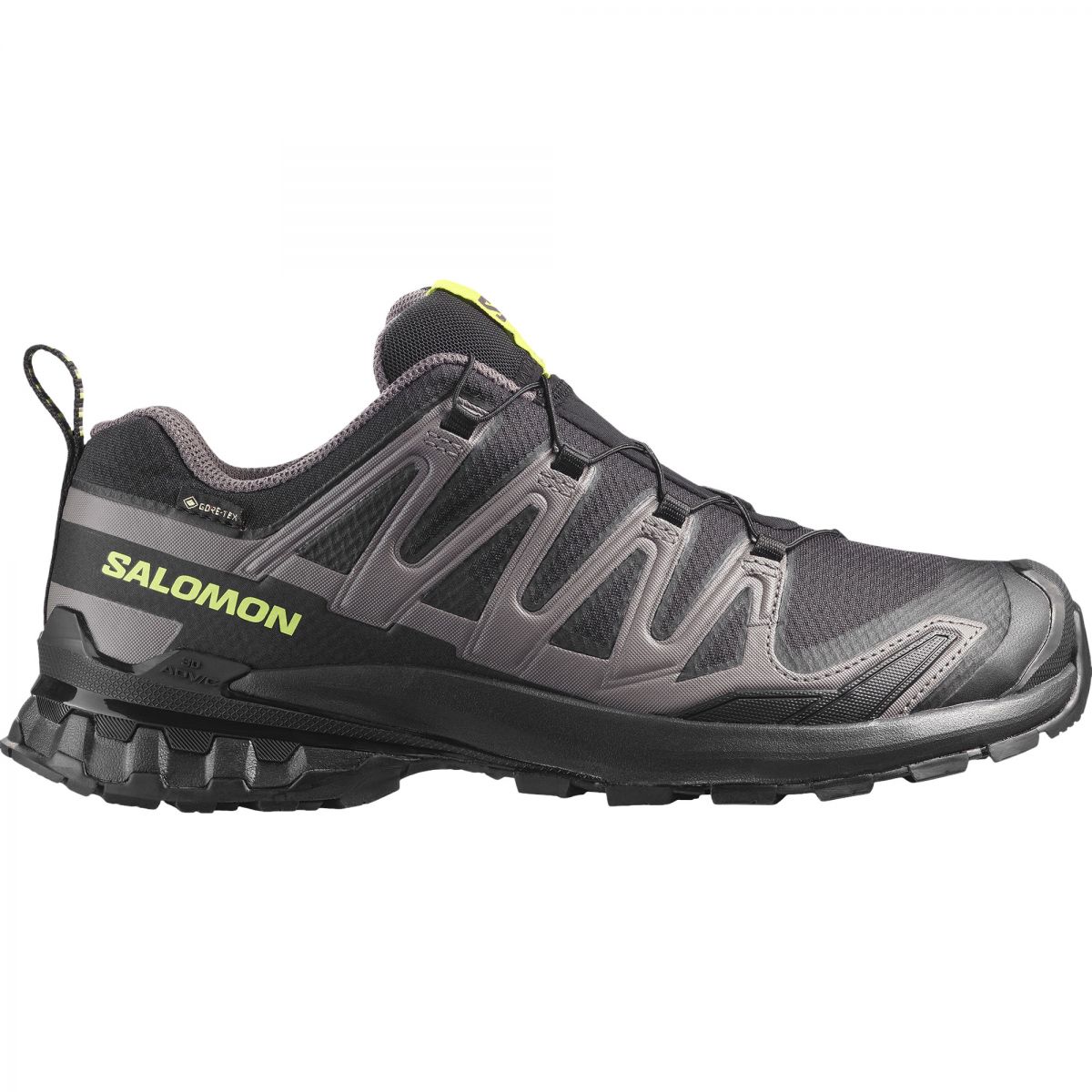Salomon XA PRO 3D V9 GTX, Trailschuhe, Herren, schwarz/grün — 2