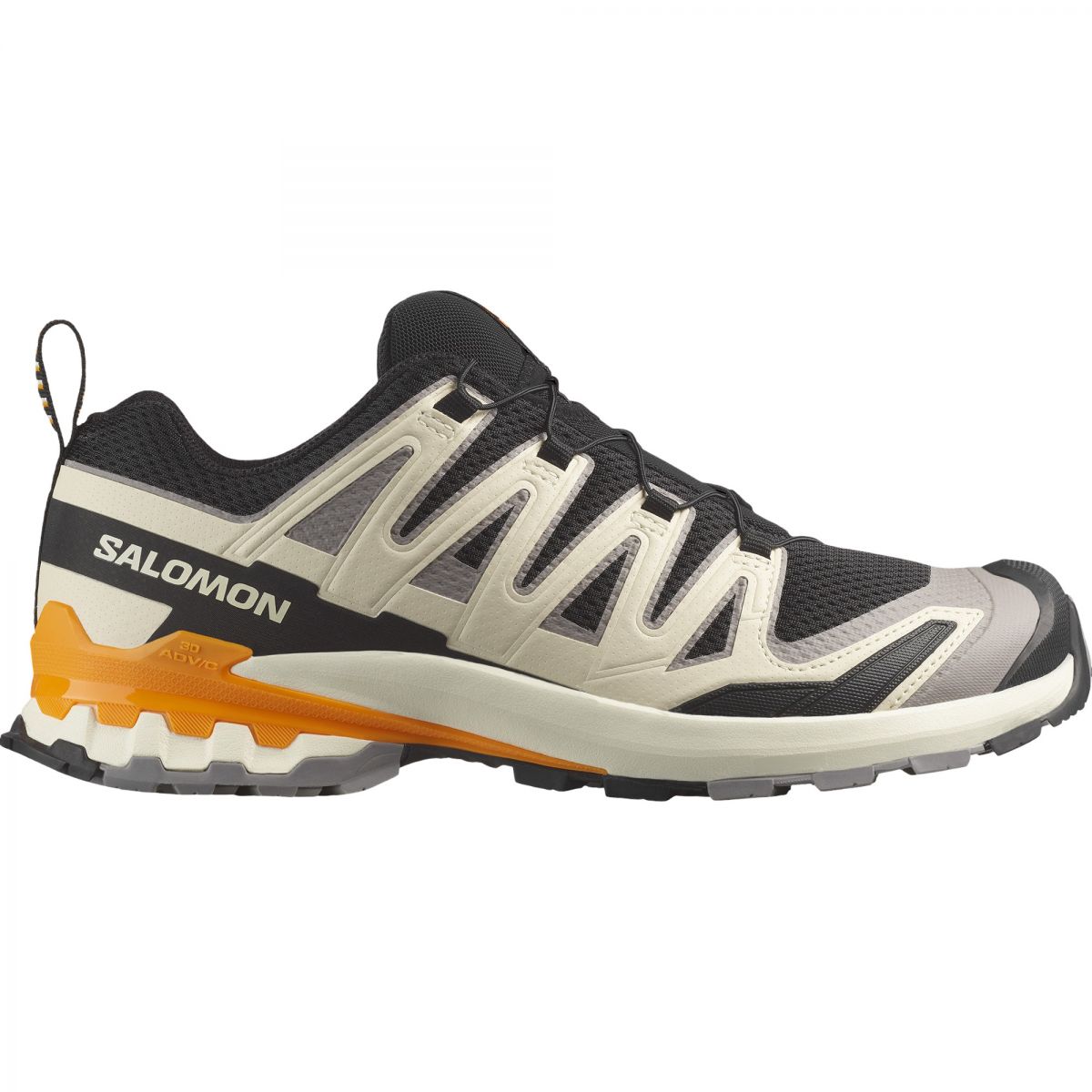 Salomon XA PRO 3D V9, Trailschuhe, Herren, schwarz/beige — 2
